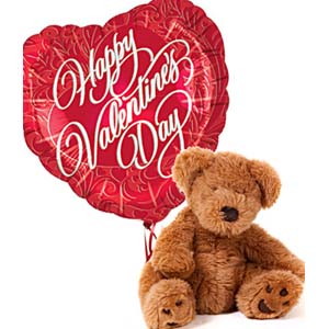 Valentine's Day Teddy Bear Gift