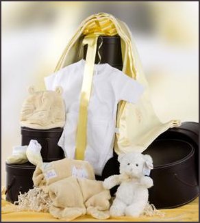 Newborn Baby Gift Baskets with Delivery to USA