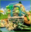 Delight In Daisies Gardening Themed Gift Basket - FREE SHIP USA Gift Basket