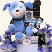 Baby Boys Gift Baskets USA