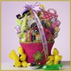 Fun & Funky Fashion Games Easter Gift Basket~Girls 6-9 Yrs Gift Basket