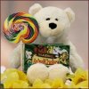 Bear Hugs for Kids Sympathy Gift Basket ~ Ages 3-7 Gift Basket