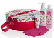 Crabtree & Evelyn's Rosewater Dreams Spa Gift Basket For Her Gift Basket