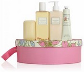 Crabtree & Evelyn's Summer Hill Dreams Spa Gift Basket For Her Gift Basket