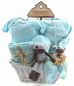 Only Organic Baby Boys Gift Basket - Deluxe Edition - Personalization Option Gift Basket