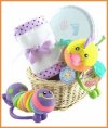 Cute Crinkles Baby Gift Basket - Baby Neutral Gift Basket