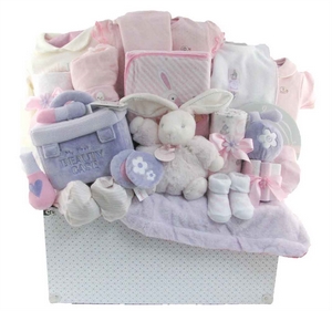 Baby Girls Gift Baskets Canada