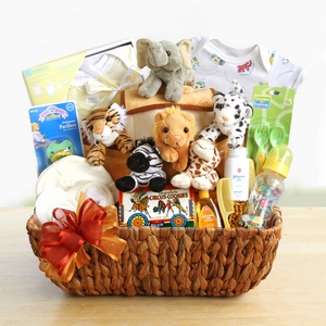The Bible's Noah's Ark Gift